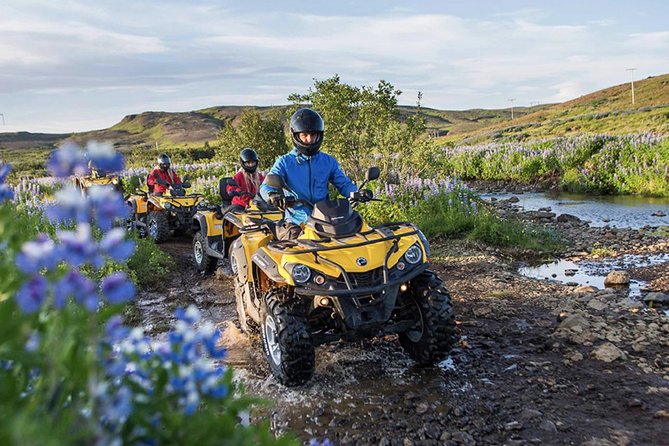 Whale Watching & ATV Adventure from Reykjavik - Who will enjoy this day most?