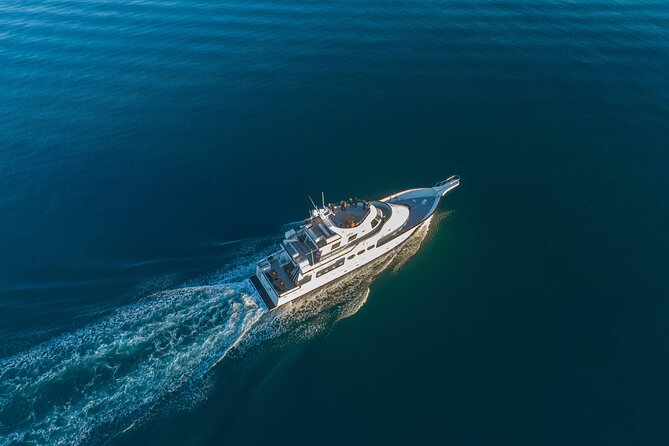 Whale Watching Cruise on a Yacht in Reykjavik - The yacht-style boat and viewing areas