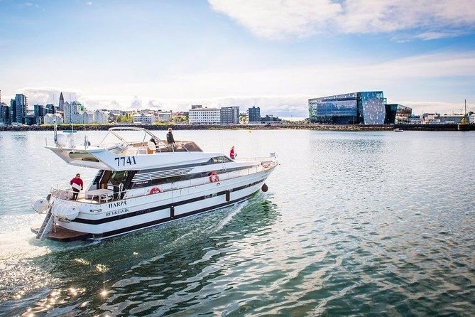 Whale Watching & Dolphin Yacht Cruise - Key points to know before booking