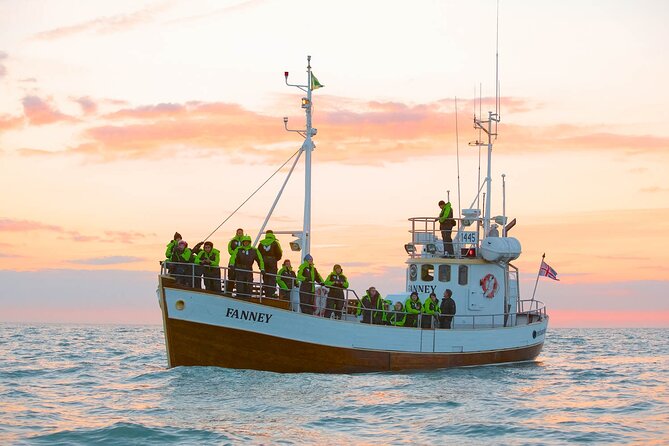 Whale Watching in Husavik - Weather, cancellations, and timing