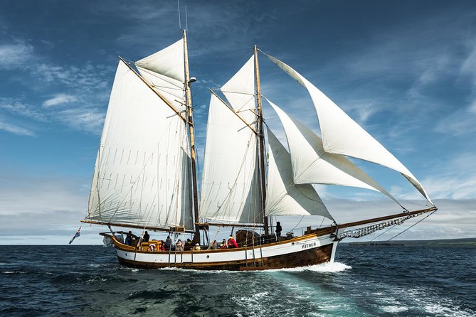 Whale Watching on a Traditional Oak Sailing Ship from Husavik - Guides, narration, and the conservation message