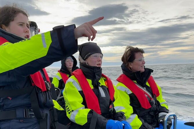 Whale Watching - RIB Boat Adventure in Kopavogur, Iceland - Why this Kópavogur whale tour feels different