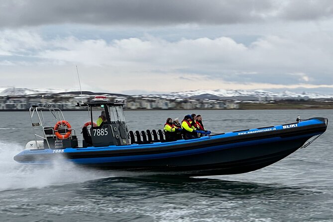 Whale Watching - RIB Boat Adventure in Kopavogur, Iceland - One hour searching for whales, dolphins, and puffins