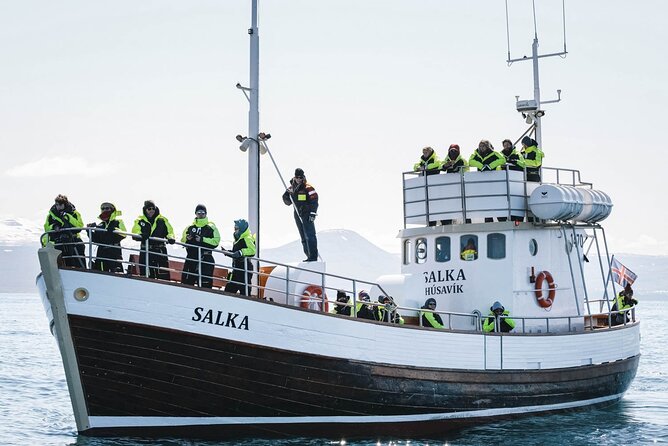 Whales and Puffins Tour from Husavik - What a good wildlife day can look like