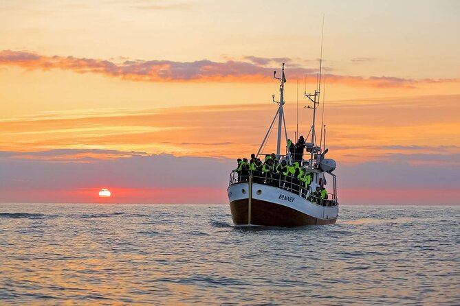 Whales and Puffins Tour from Husavik - Puffin Island and the summer colony