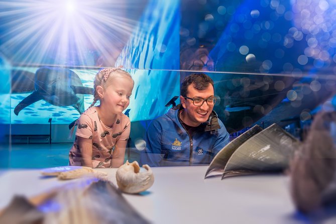 Whales Of Iceland Admission Ticket - The live English tours at 11:00 and 15:00
