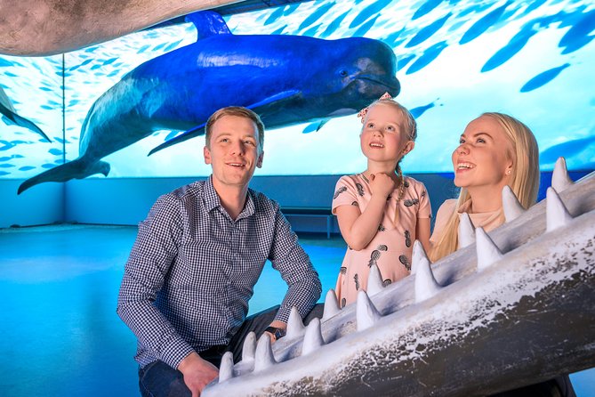 Whales Of Iceland Admission Ticket - Is $34.84 a fair price?