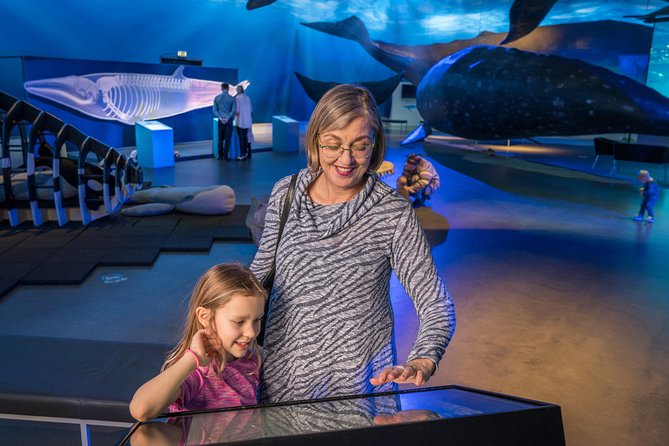 Whales Of Iceland Admission Ticket - Who will enjoy this most?