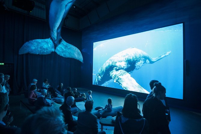 Whales of Iceland from Land and Sea - Seeing the Whales of Iceland exhibition