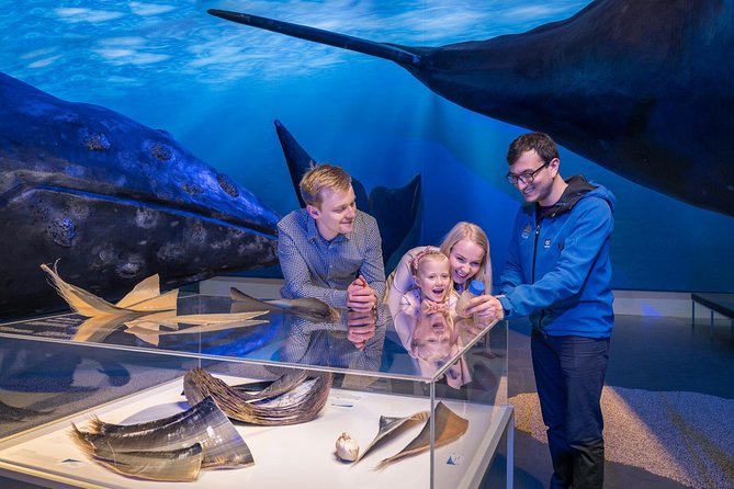 Whales of Iceland from Land and Sea - Staying warm while watching the water