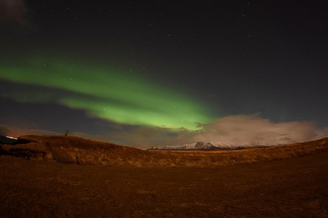 Winter Whale Watching and Northern Lights Cruise from Reykjavik - Two Iceland highlights packed into one long day